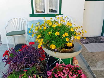 Bild 22 aus  Ferienhaus Anna