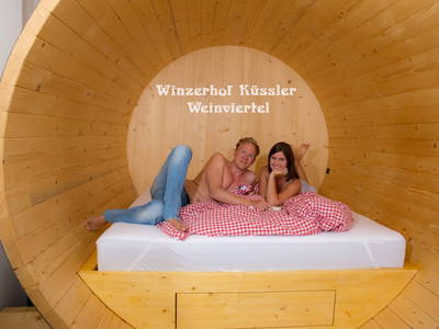 Bild 4 aus  Winzerhof Küssler, Weinviertel