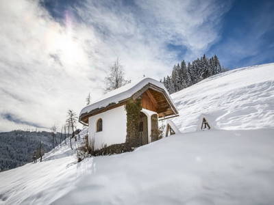 Bild 123 aus  Brennergut