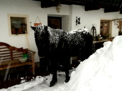 Bild 40 aus Auerhof
