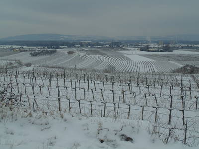 Bild 24 aus  Schmankerl und Gast Heiderer