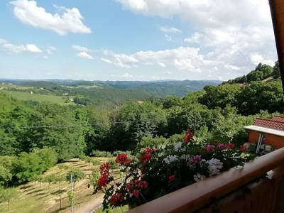 Bild 11 aus  Weingut Stoff