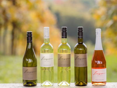 Bild 47 aus  WEIN DOMIZIL ZIEGER