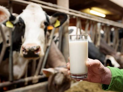 Bild 47 aus  Hofgut Schleinsee  - idyllisch am eigenen See