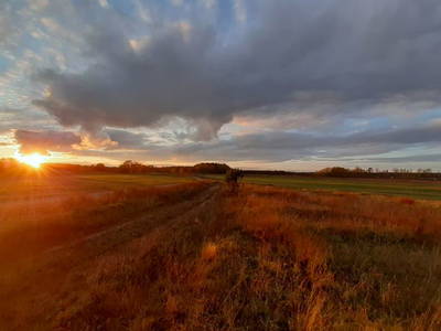 Bild 10 aus  Ferienhaus Landlust