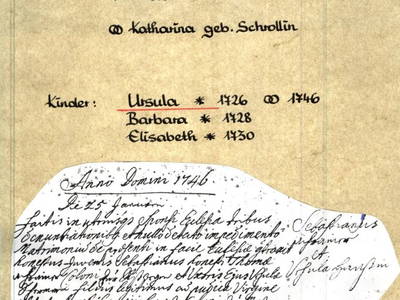 Bild 29 aus  Achrainer - Moosen