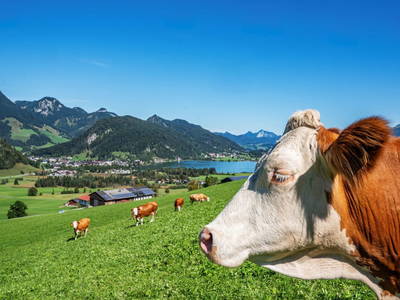 Bild 5 aus  Hagerhof