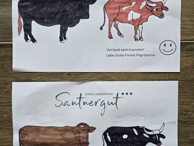 Bild 62 aus  Santnergut