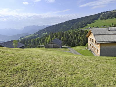 Bild 22 aus  UNSER VORSÄSS - Geisskopf