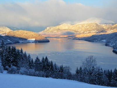 Bild 39 aus  Berghof Oberwinkler