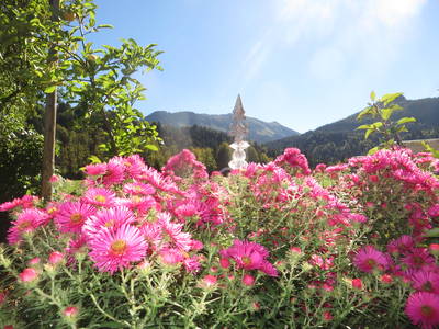 Bild 23 aus  Landhaus Alt mit  Bauernhof* Gesundes Wohnen In Freier Natur* Tolle-Angebote *Bergbahn Unlimited*
