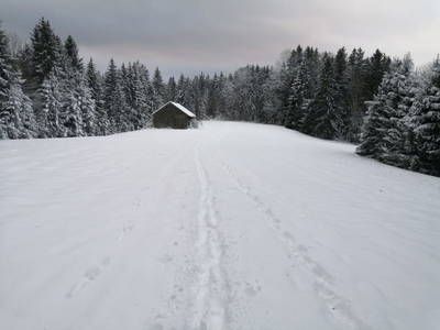 Bild 98 aus  Dichtlhof