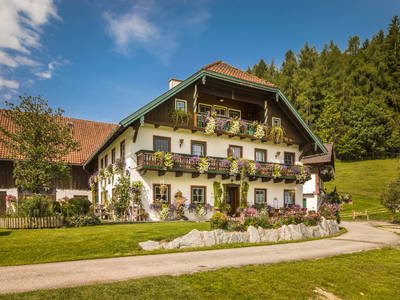 Bild 23 aus  Wohlfühlbauernhof Bambichlgut