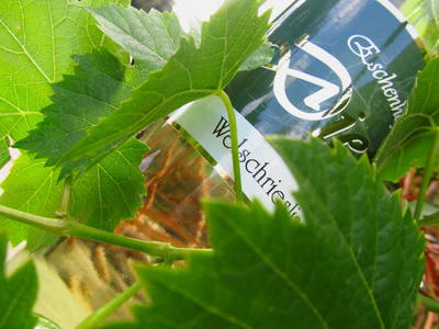 Bild 54 aus  Weingut Dietl - Der Abdruck des Genusses ****