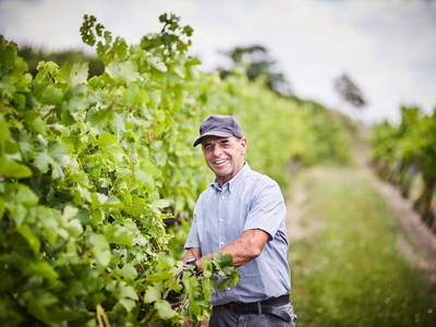 Bild 37 aus  Schmankerl und Gast Heiderer