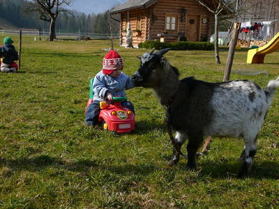 Bild 34 aus  Unterführholzergut