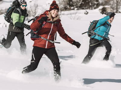 Bild 334 aus  Der Ortnerhof