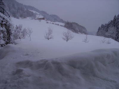 Bild 51 aus  Brandstatt