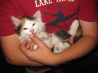 Bild 56 aus  Jörgleggerhof