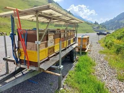 Bild 13 aus  Imkerei Hammerer