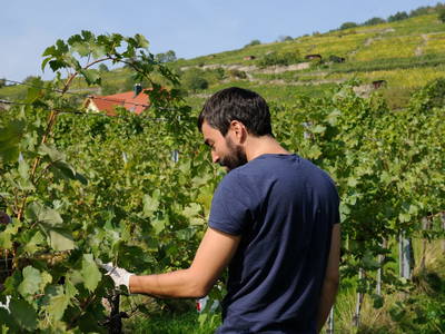 Bild 40 aus  Landhaus Furth 8