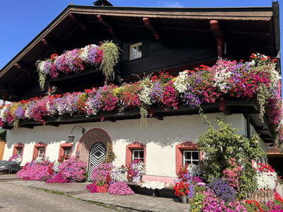 Bild 2 aus  Baby-/Kinderbauernhof Stefflhof