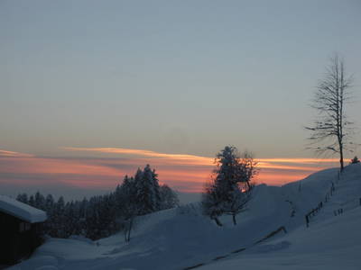 Bild 31 aus  Ferienhof Feurle