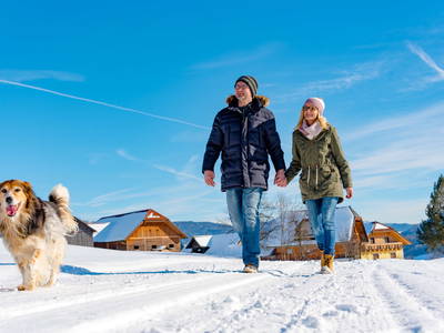 Bild 9 aus Testhof UaB Steiermark