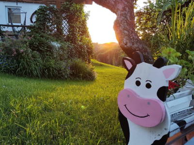 Bild 110 aus  Obergrafenberger