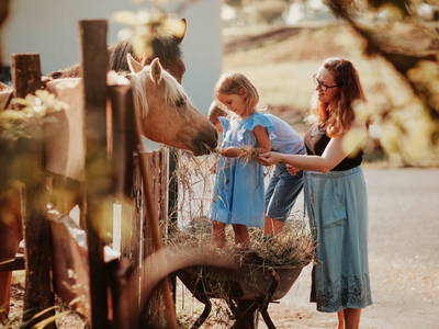 Bild 2 aus  Wendelinshof