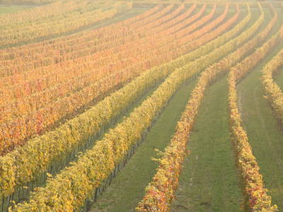 Bild 14 aus  Pension Hareter