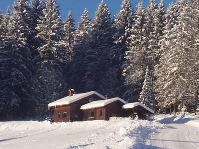 Bild 29 aus  Trialhof Schaureith