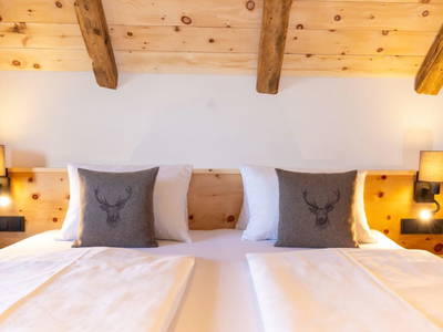 Bild 247 aus  Tritscherhof