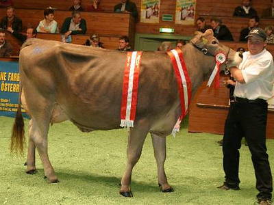 Bild 17 aus  Alpenbauernhof Gröbenhof