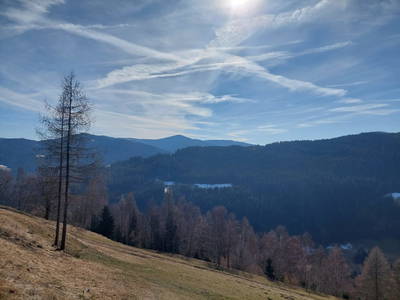 Bild 32 aus  Almhaus Maurer