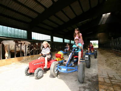 Bild 18 aus  Landgasthaus Hoffmann