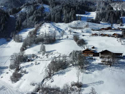 Bild 208 aus  Reitbauernhof