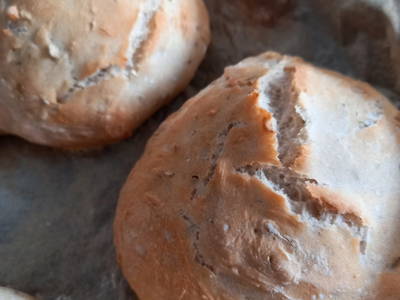 Bild 82 aus  Pircherhof - Adults Only am Biobauernhof