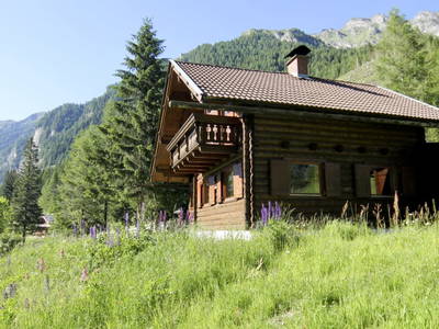 Bild 2 aus  Holzblockhaus Chalet Pöllatal