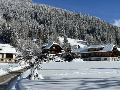 Bild 91 aus  Biohof Seidl