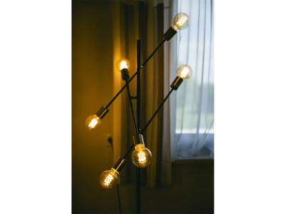 Bild 299 aus  Pimperlhof