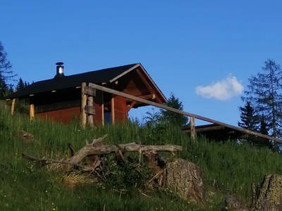 Bild 154 aus  Almchalet Nikola