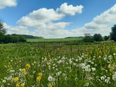 Bild 26 aus  Urlaub unterm Reet