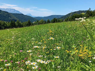 Bild 48 aus  Ferienhaus Untergrünweg