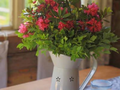 Bild 21 aus  Thürerhütte