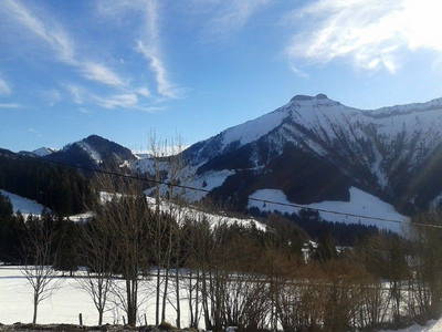 Bild 48 aus  Reitlhof am Sonnenhang   Bio-Bergbauernhof bei Salzburg 