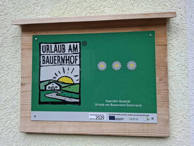 Bild 25 aus  Hanslgrabner