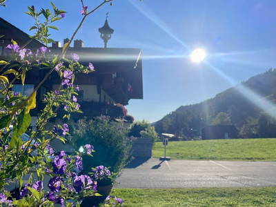 Bild 3 aus  Heisshof 