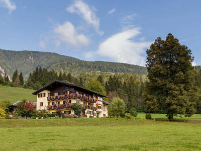 Bild 2 aus  Biobauernhof Wegscheider