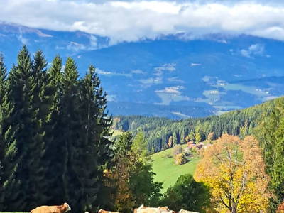 Bild 23 aus  Langhanshütte